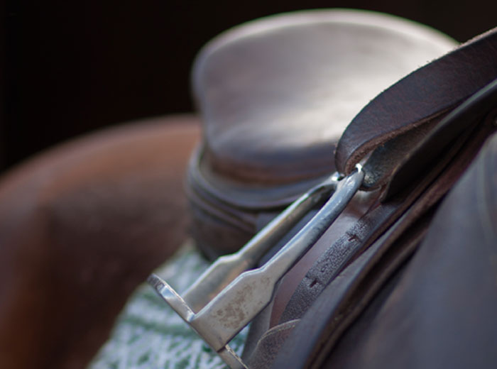 Horse saddle
